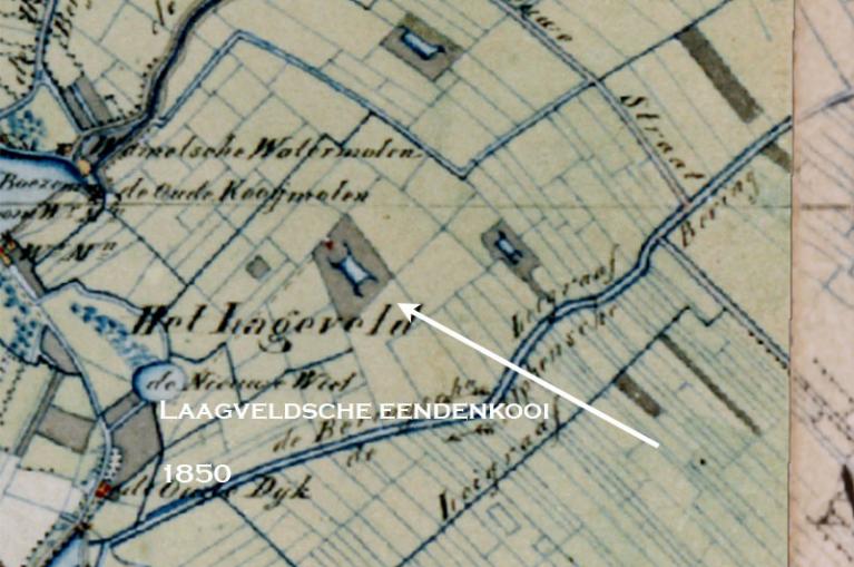 Laagveldsche kooi in 1850