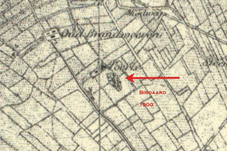 Burdaard 1900