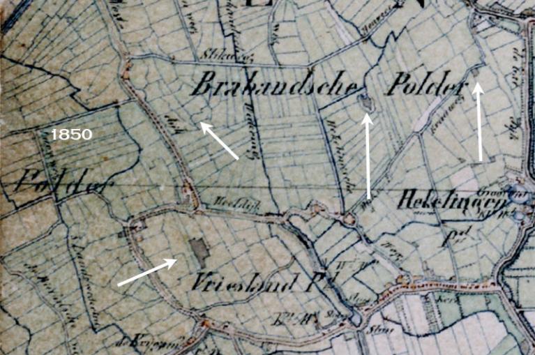 De kooien rond Hekelingen 1850