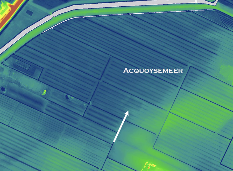 Acquoysemeer ahn