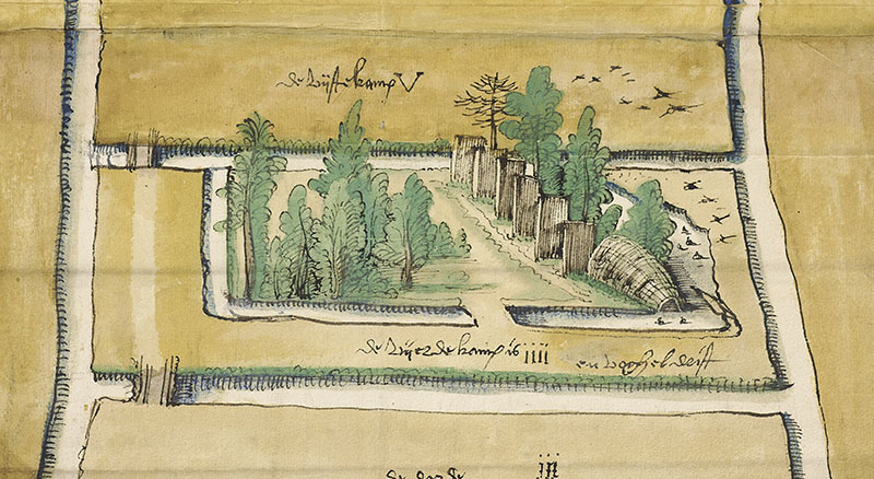 Kortsteekter polder kopie 2