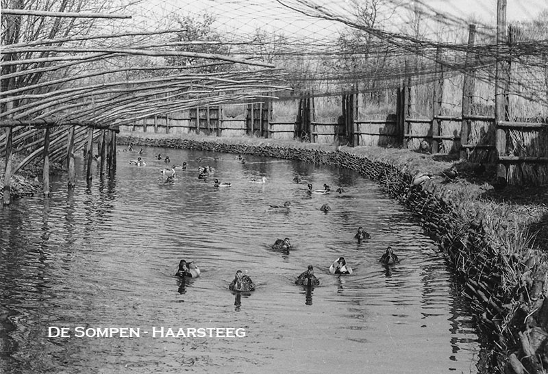 De Sompen 