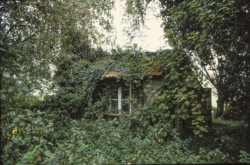 Vervallen kooihuisje