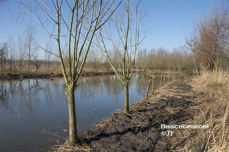 Bisschopskooi baggeren