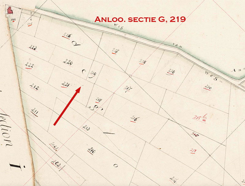 Annen kad 219 kopie