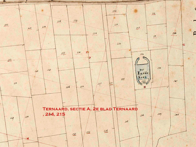 Ternaard kopie 2