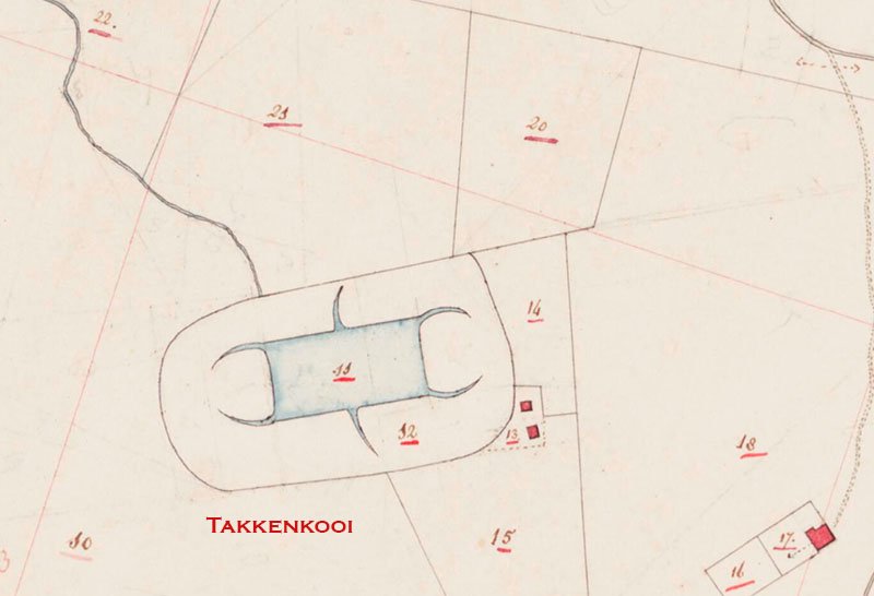 Takkenkooi