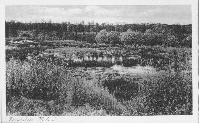 Vlieland Nieuwe Kooi