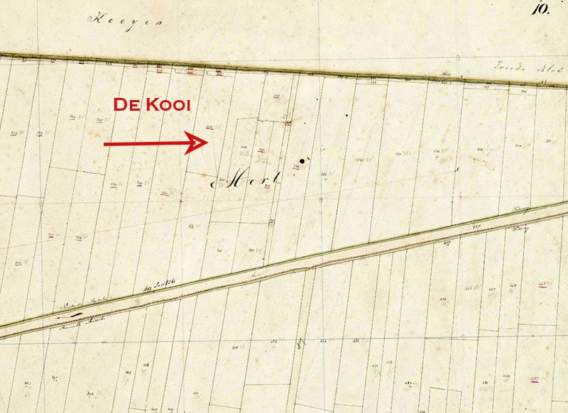 De Kooi