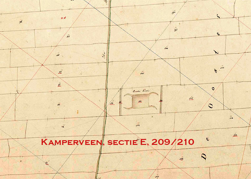 Kamperveen kad kopie