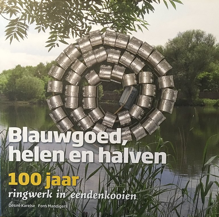 Blauwgoed, helen en halven