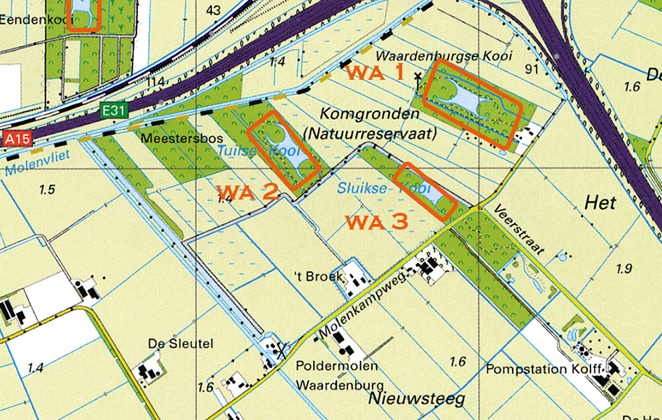 Waardenburg 3