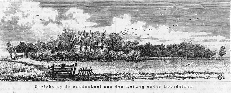 Loosduinen leiweg:zuiderpark