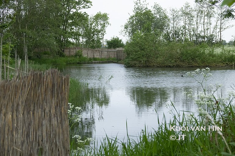 Kooi van Hin