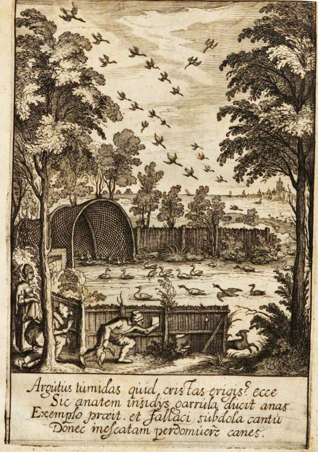 Gravure eendenkooi 